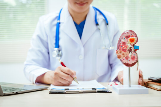 A male doctor sits at a desk in a hospital, explaining kidney models and symptoms of kidney disease, focusing on acute and chronic renal failure. Early detection supports effective treatment