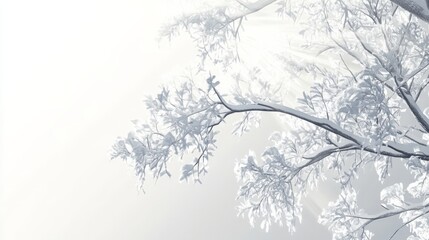 A peaceful winter morning with fresh snow on tree branches and gentle sunlight breaking through