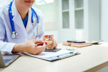 A male doctor in a hospital sits at a desk, explaining pregnancy models, symptoms during pregnancy, important tips for pregnant mothers, and fetal development stages across nine months