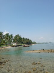 Tropical beach with palm tree and clear water in indonesia