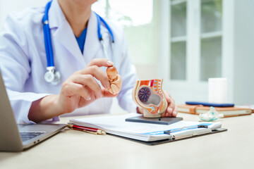 A male doctor in a hospital sits at a desk, explaining pregnancy models, symptoms during pregnancy, important tips for pregnant mothers, and fetal development stages across nine months