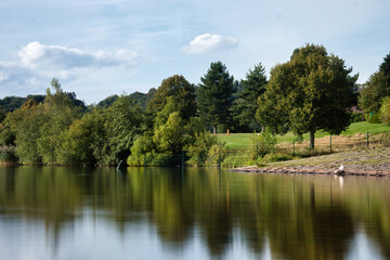 Obraz premium Green trees and their reflections in a lake on a summer day in Germany.