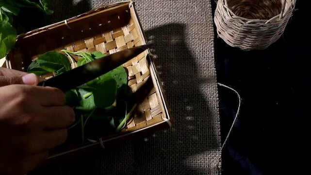 memotong daun bayam dengan tangan