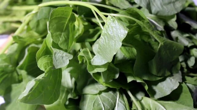 fresh spinach leaves