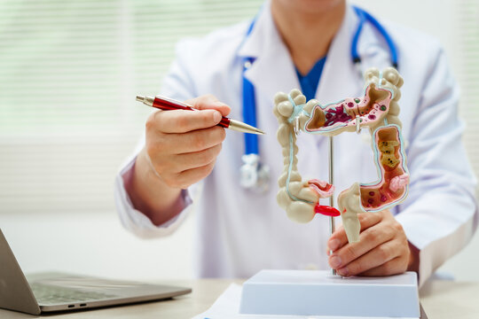 A male doctor wearing glasses sits at a desk, explaining an intestinal model, discussing anatomy, small and large intestine functions, colitis, colon cancer, appendicitis symptoms,digestive health