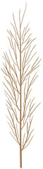 Fototapeta premium dried leaf decoration