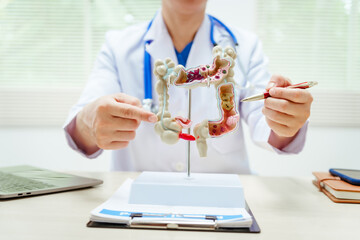 A male doctor wearing glasses sits at a desk, explaining an intestinal model, discussing anatomy,...