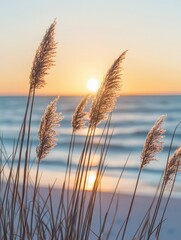 Beach grass growing on sunset beach in beautiful dusk horizon background. Aerial view reeds blowing swaying in wind at nature landscape close up. Romantic inspiration evening environment concept.