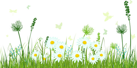 Fototapeta premium Watercolor flower frame background for wedding, birthday, card, background, invitation, wallpaper, sticker, decoration etc.