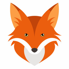 red fox cartoon