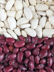 White and red beans in close-up. The choice of the bean variety. Legumes in the diet. Background for advertising. 