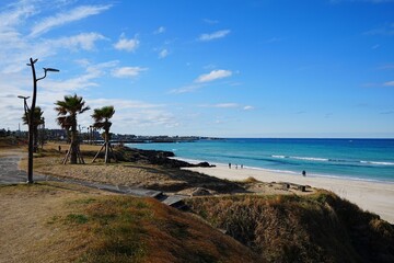 wonderful seascape with seaside walkway and clear blue sea