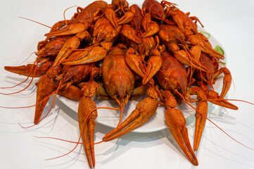 boiled crayfish on a white plate.
