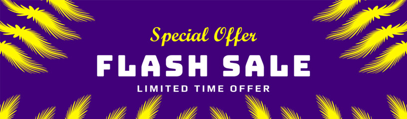 special offer flash sale banner limited time 
