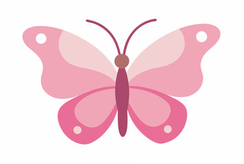 butterfly illustration