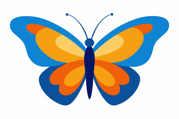 butterfly isolated on white