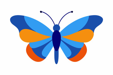 butterfly isolated on white