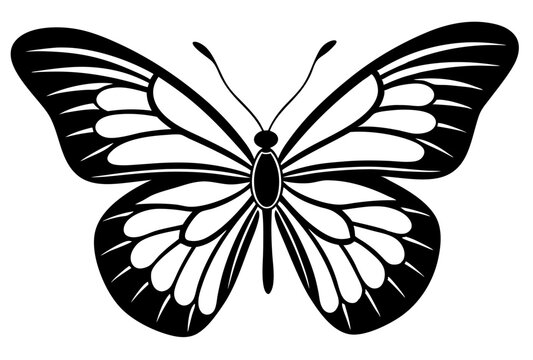 batterfly