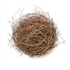 Obraz premium Tumbleweed isolated on white background
