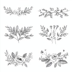 Wedding logo vector template. Botanical and floral logo element. Borders and dividers frame set. Hand drawn leaves branch, herb,flower, rose. Beauty and fashion frame design for logo and invitation.