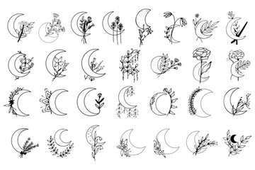 Fototapeta premium moon botanical pen drawing