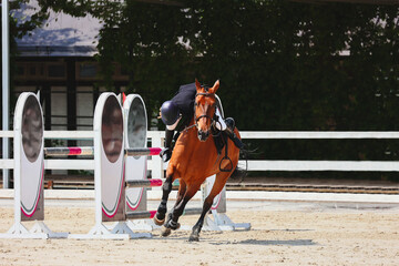 Disqualification on show jumping. Rider commit a fail. Fails on horse jumping