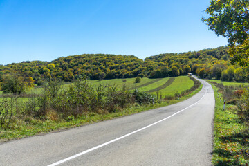 Fototapeta premium An asphalt road with a white dividing line runs through a green field and goes into trees and bushes with autumn leaves. Hills and clouds are in the background