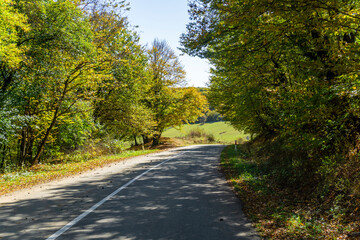 Obraz premium An asphalt road with a white dividing line passes through trees and bushes with autumn leaves. Hills and clouds are in the background