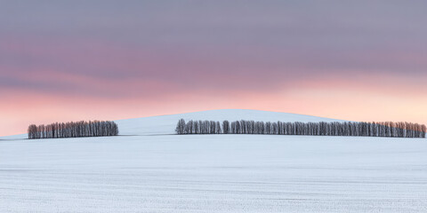 Fototapeta premium Snow-covered landscape at sunset with silhouettes of trees on a gentle slope