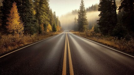 Fototapeta premium A serene road stretches through a misty forest, lined with tall trees and hints of autumn colors, inviting exploration and adventure.