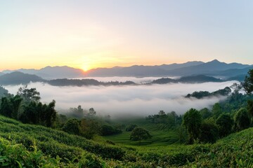 Obraz premium A serene landscape featuring rolling hills, lush greenery, misty valleys, and a vibrant sunrise illuminating the mountains in the background.