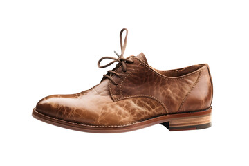 Brown shoes isolated on white background