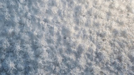 Fototapeta premium A clean snow texture illuminated by soft daylight