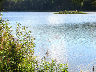 quiet forest lake in the Lopatinsky quarries near the village of Phosphorite