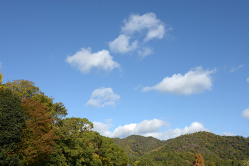 嵯峨野　秋の青空　京都市右京区嵯峨