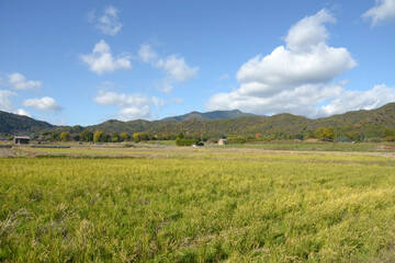 嵯峨野　田園風景　京都市右京区嵯峨