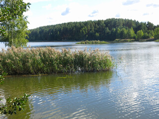 quiet forest lake in the Lopatinsky quarries near the village of Phosphorite