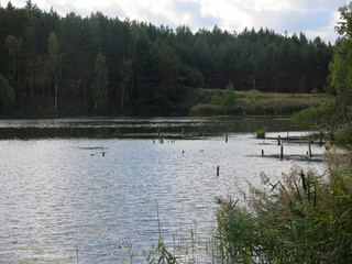 quiet forest lake in the Lopatinsky quarries near the village of Phosphorite
