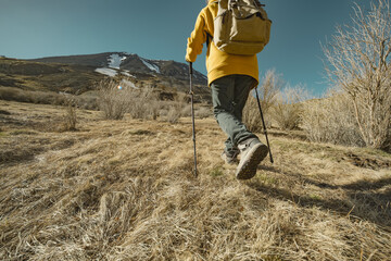 An explorer traveler goes uphill with a backpack and trekking poles over rough terrain. A tourist walks through the yellow grass into the mountains.