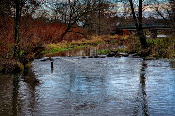 Autumn on the river on a cloudy day.
