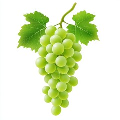 Obraz premium Fresh Green Grapes on Vine with Leaves Ideal for Healthy Food Concepts, Organic Cooking, Natural Ingredients, and Fresh Produce Marketing