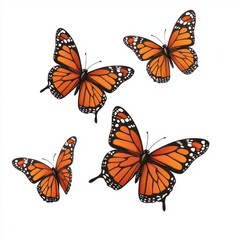 Obraz premium Vibrant Orange Butterflies with Black Patterns on White Background, Perfect for Nature and Wildlife Themes in Artistic and Educational Projects