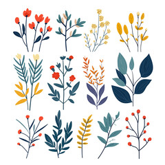 Transparent Flat Floral and Foliage Pattern Set
