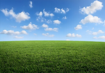 Fototapeta premium Beautiful green grass meadow landscape with a blue sky and white clouds.