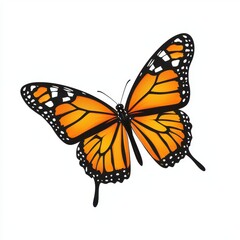 Obraz premium Stunning Monarch Butterfly Illustration with Vibrant Orange Wings and Intricate Black Patterns, Perfect for Nature and Wildlife Themes