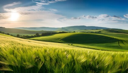 Obraz premium Lush green fields showcasing the harmony of nature and advanced farming techniques