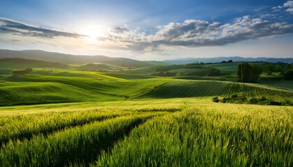 Obraz premium Lush green fields showcasing the harmony of nature and advanced farming techniques
