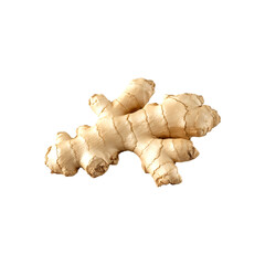 Fresh ginger root isolated transparent background spice herb cooking food ingredient