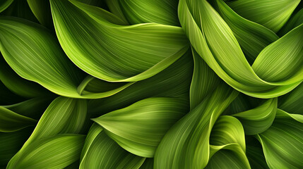 Fototapeta premium Beautiful arrangement of lush green leaves showcasing nature's vibrant textures and colors