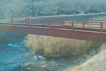 冬の川と赤い橋